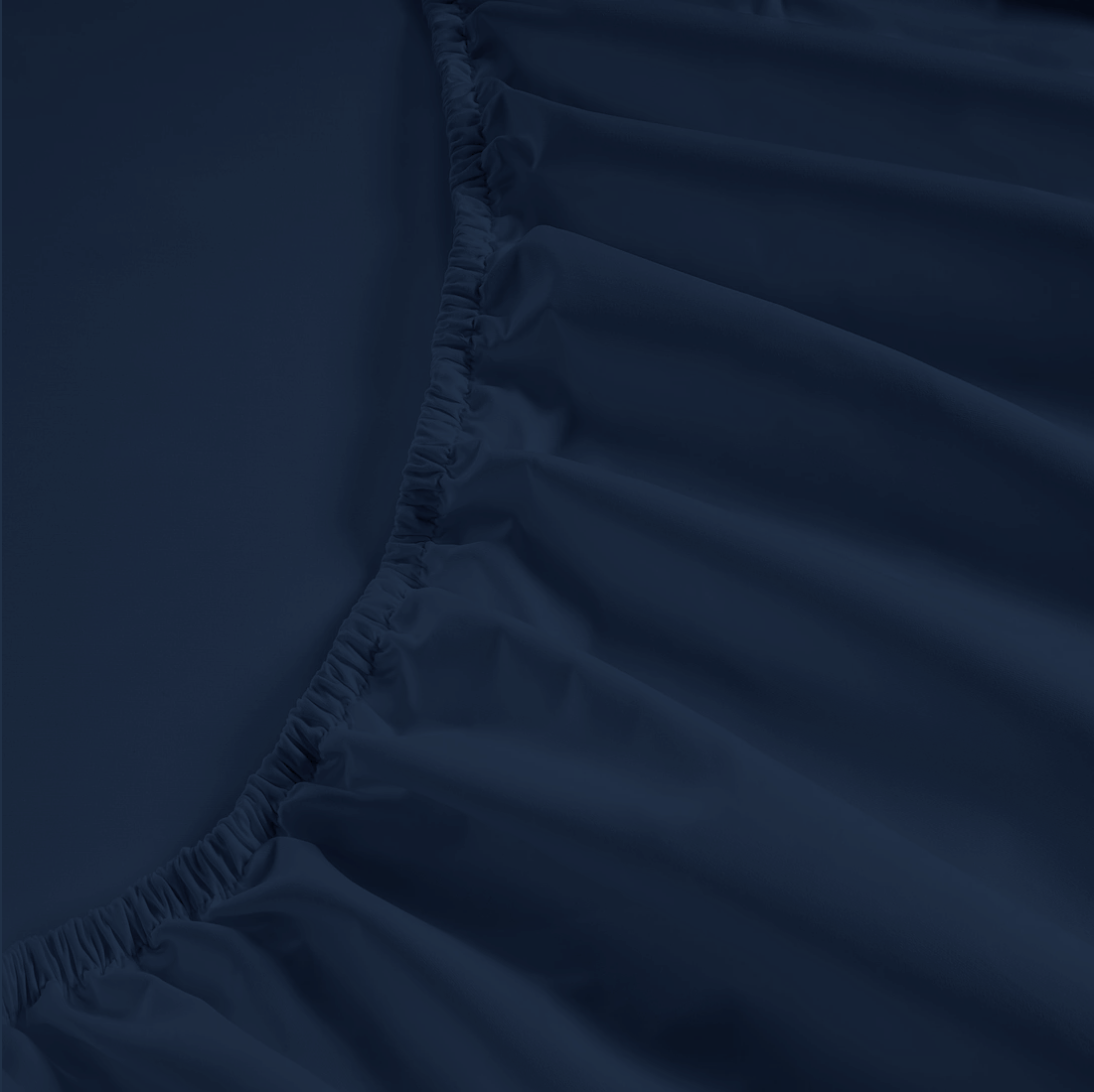 800 Thread Count Egyptian Cotton Grand Splendour Lux Buttery Smooth - Navy Peony Bedding Set