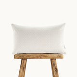 Everette Cushion (Lumbar)