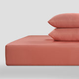 300 Thread Count Peaceful Empress Percale Fitted Sheet - Terra Cotta